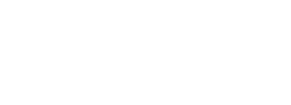 Fishon brand logo
